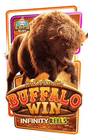 ปก Buffalo Win